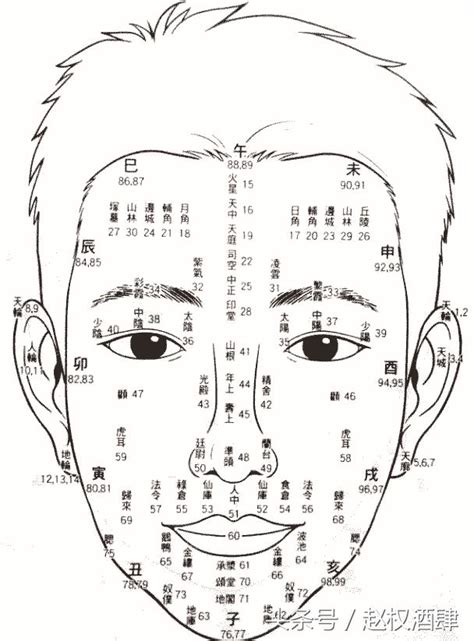 面相年齡圖|面相圖解